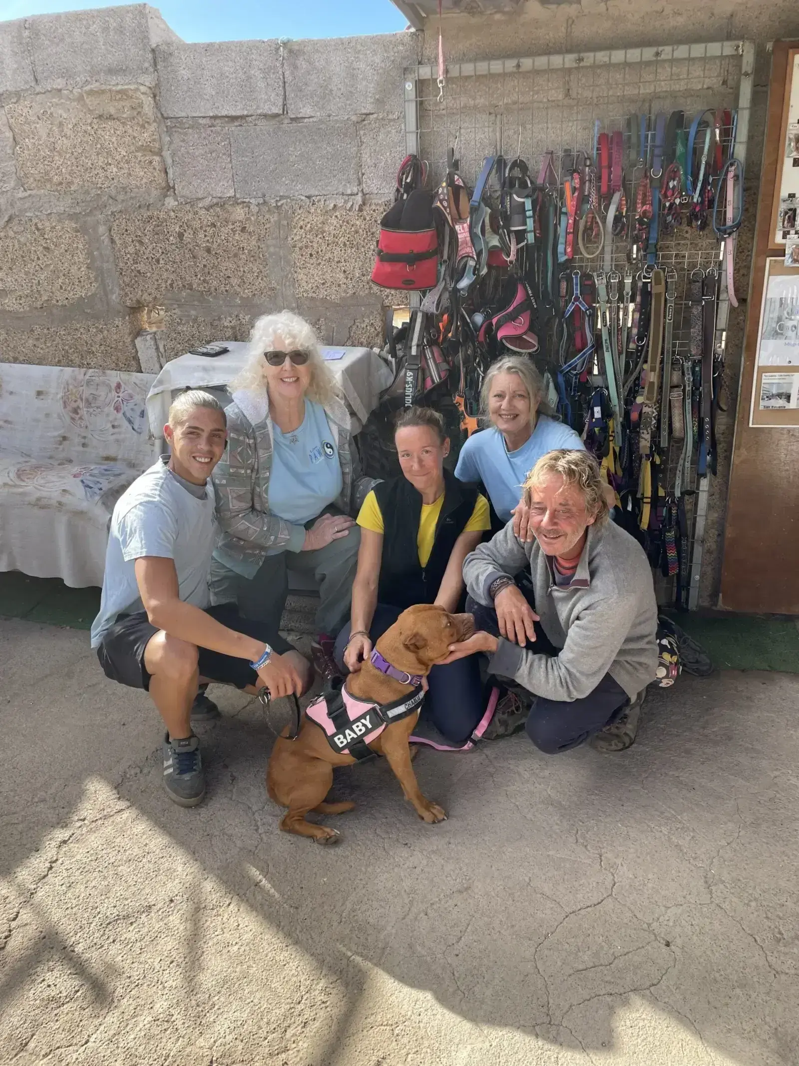 Angie Adopted.