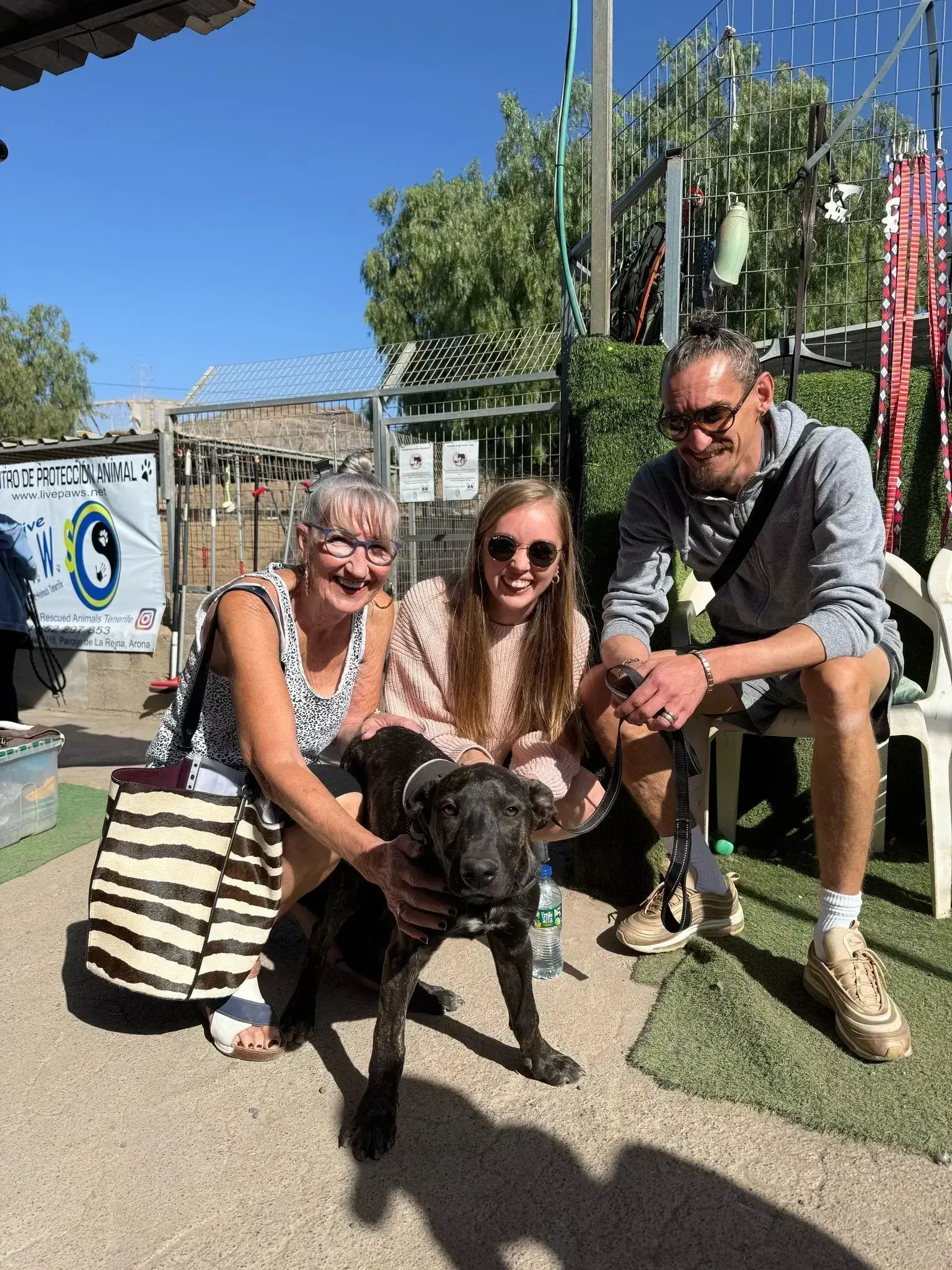 Pumba adopted.