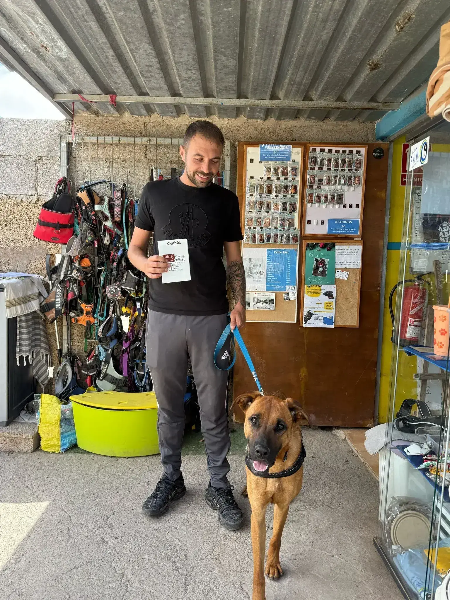 Sophie Adopted
