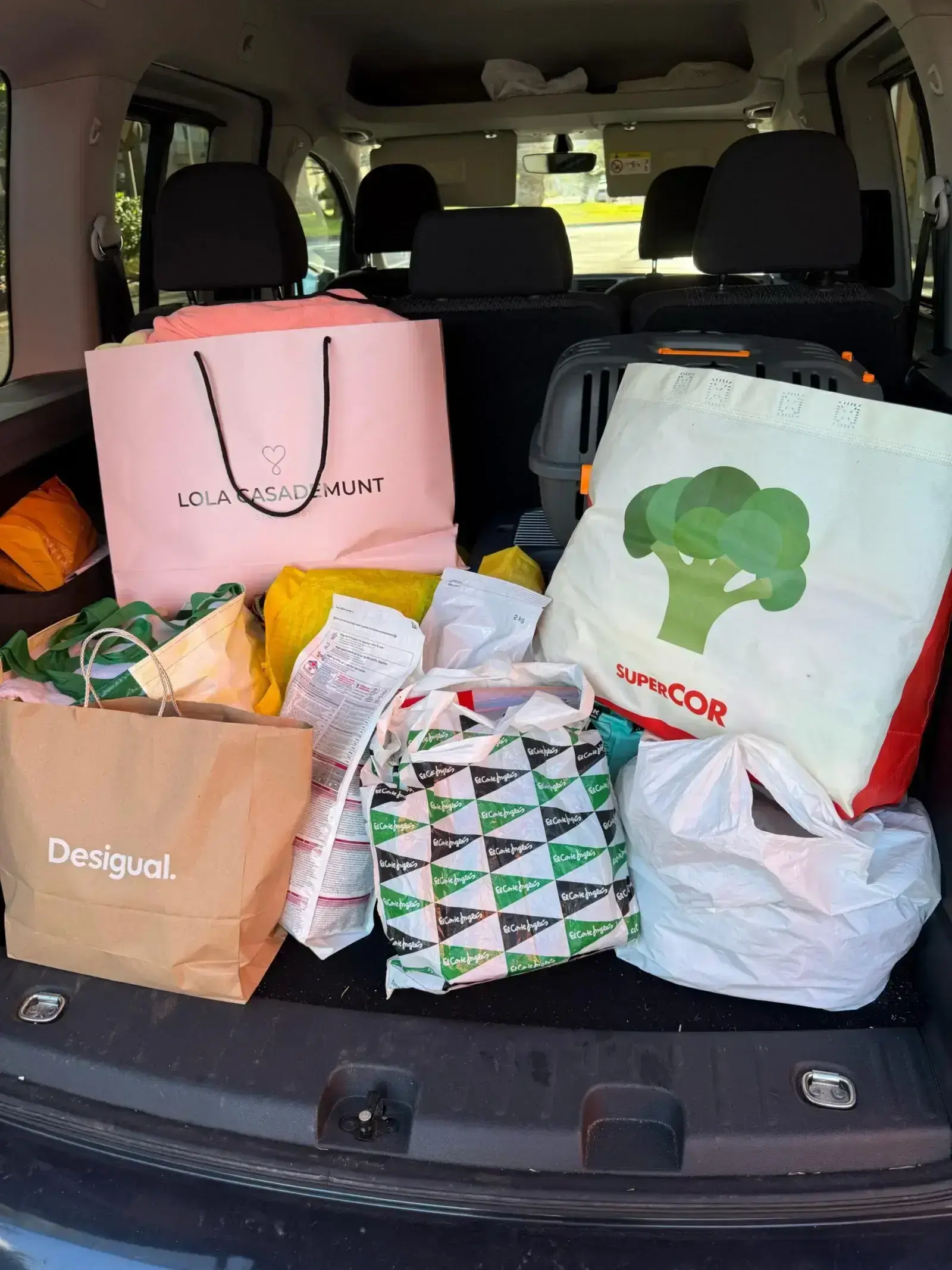 Rotarect donation.