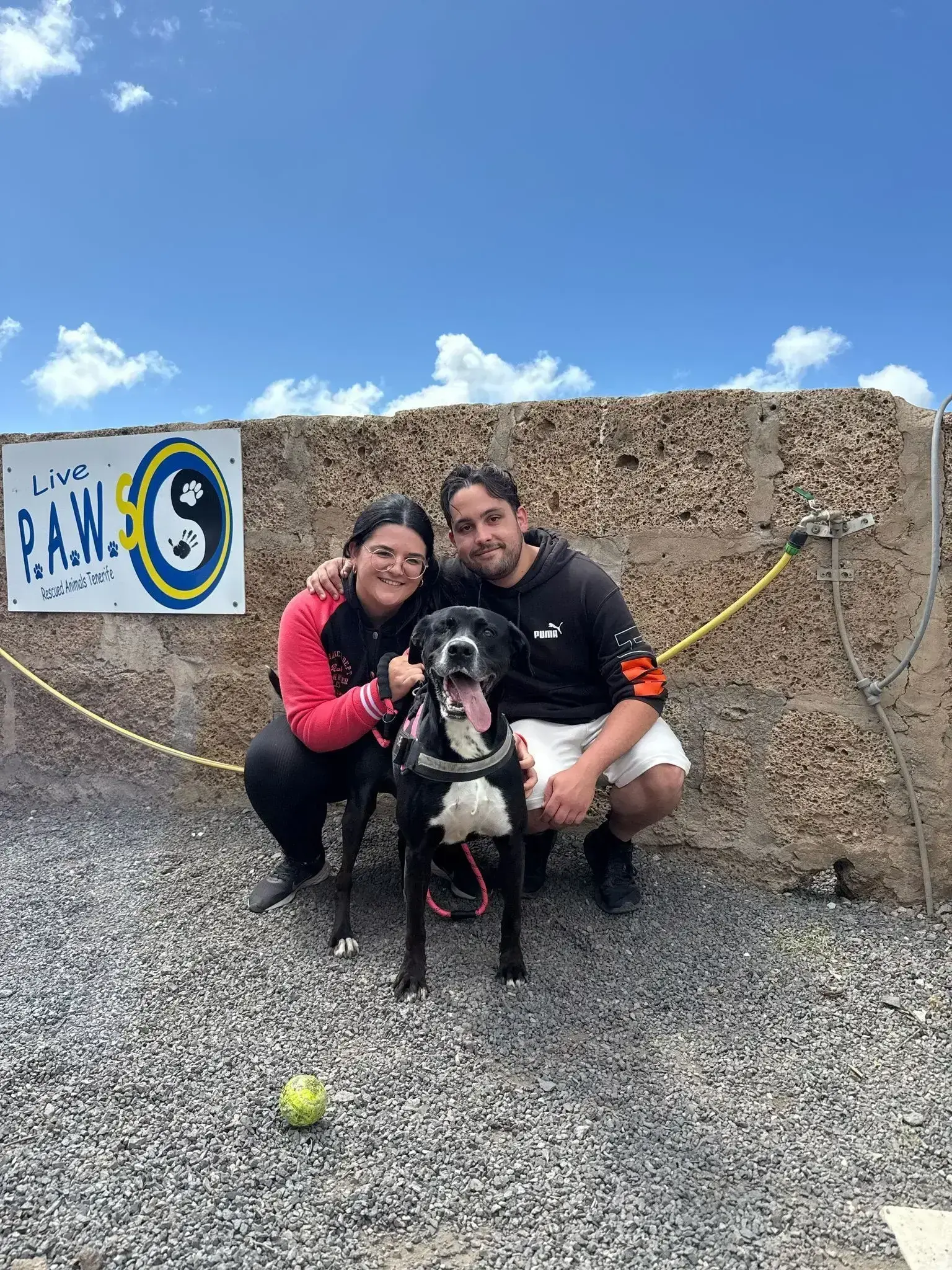 Shiva Adopted.