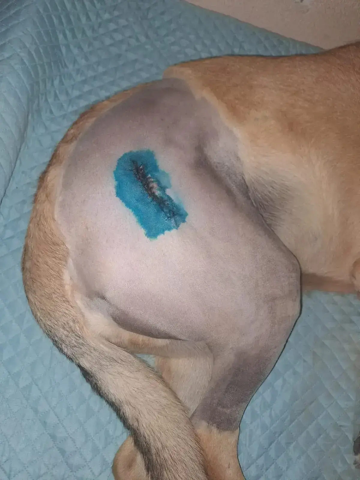 Morris update.