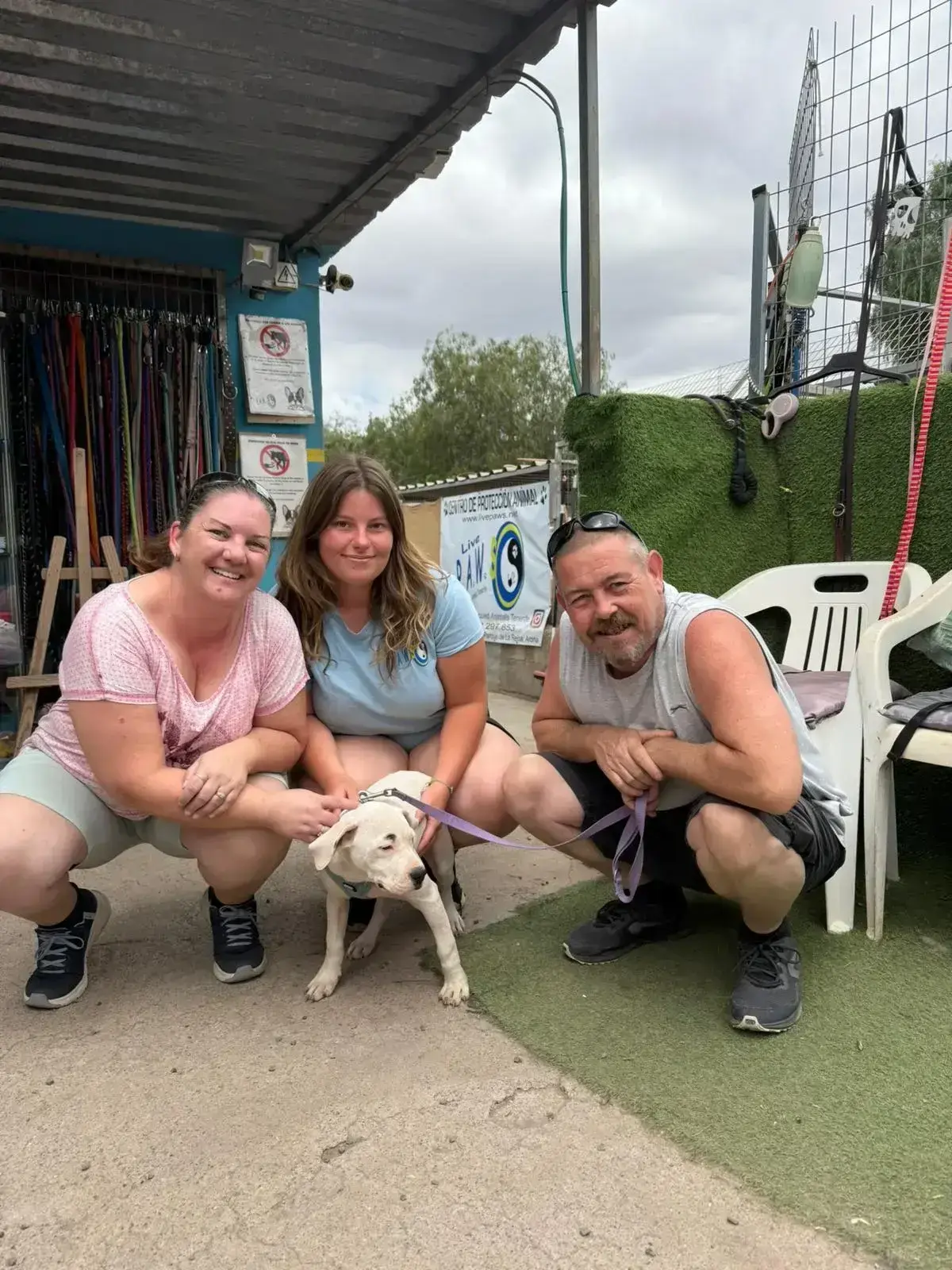 Lola adopted