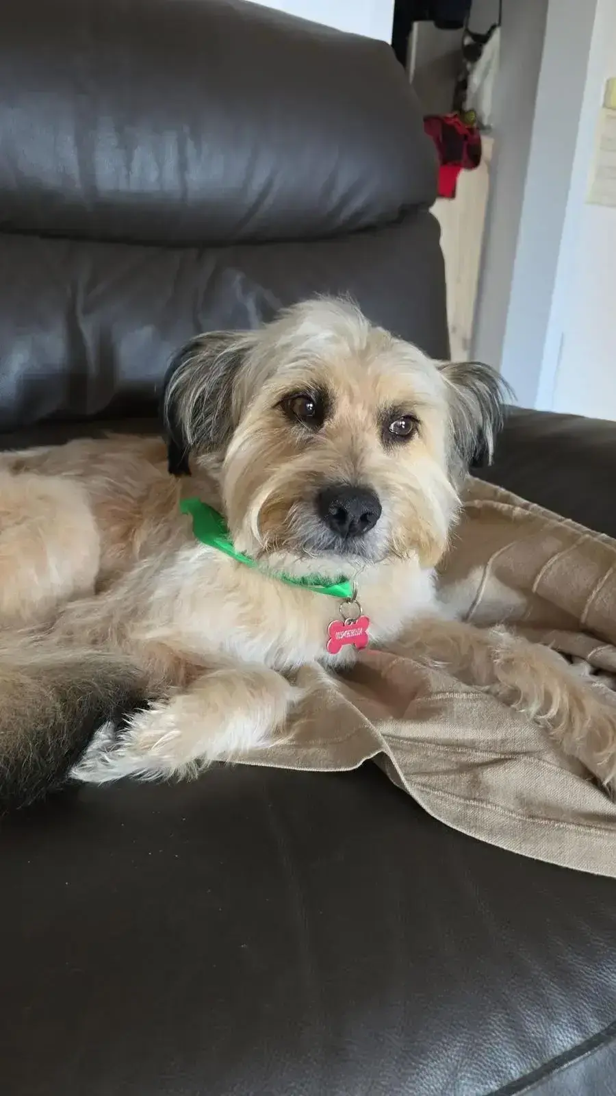 Benji Update.