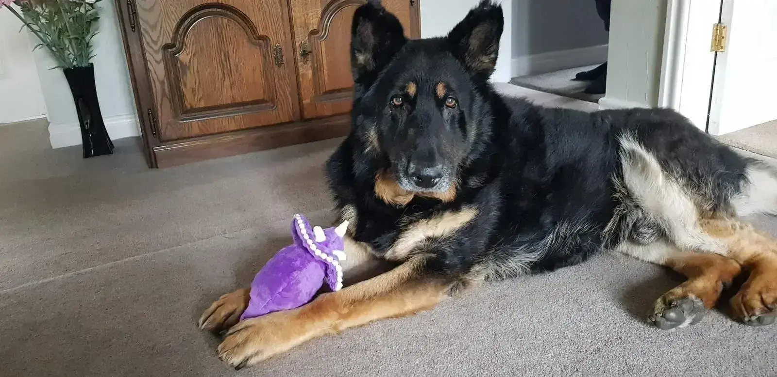 Rex update.