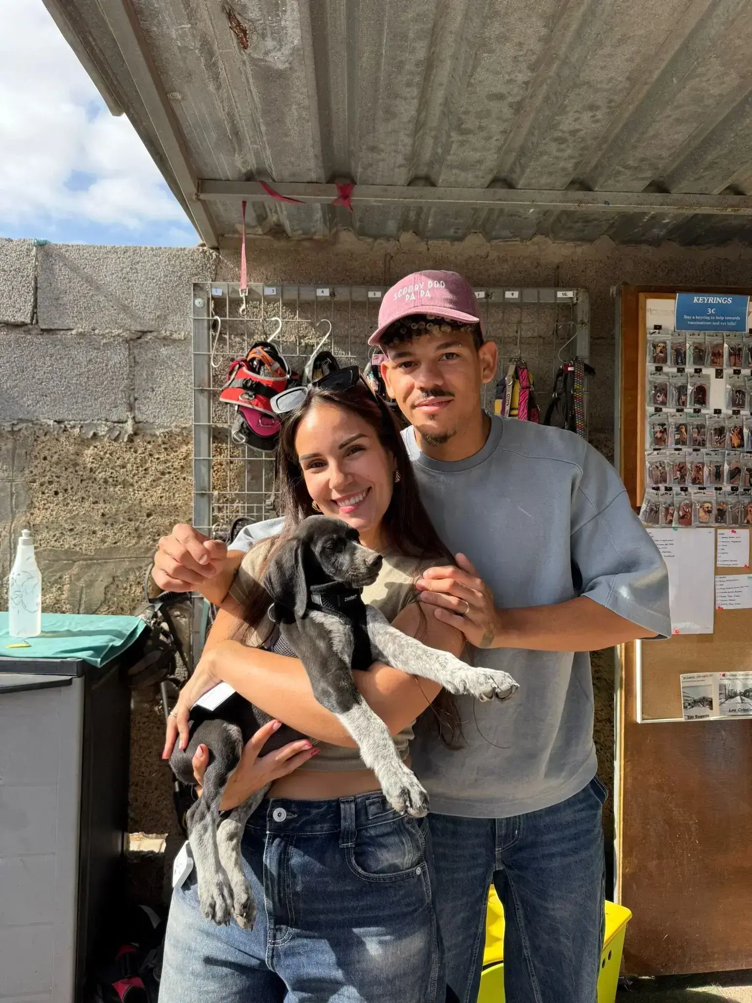 Martin and Roi adopted .