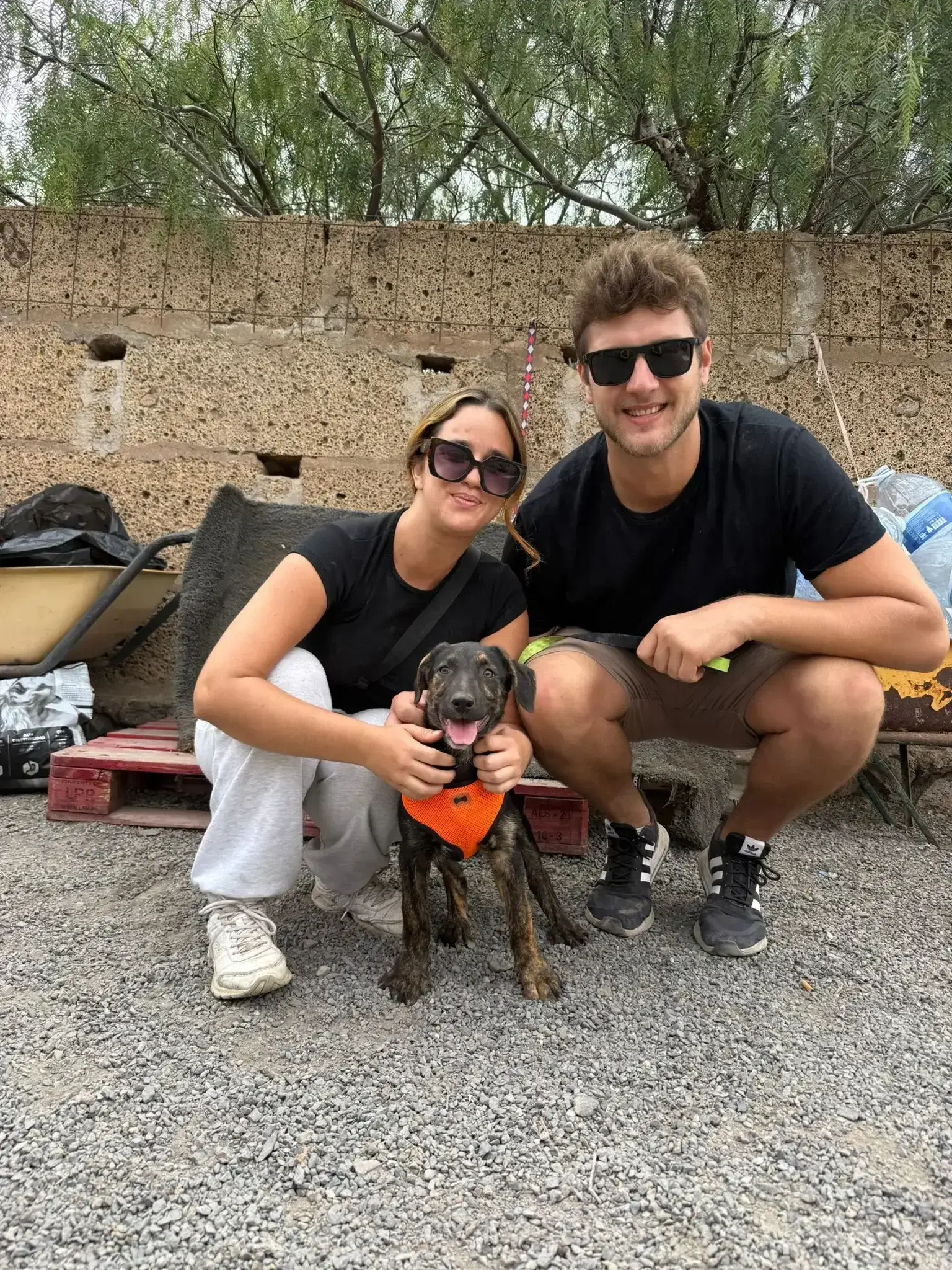 Luna adopted.