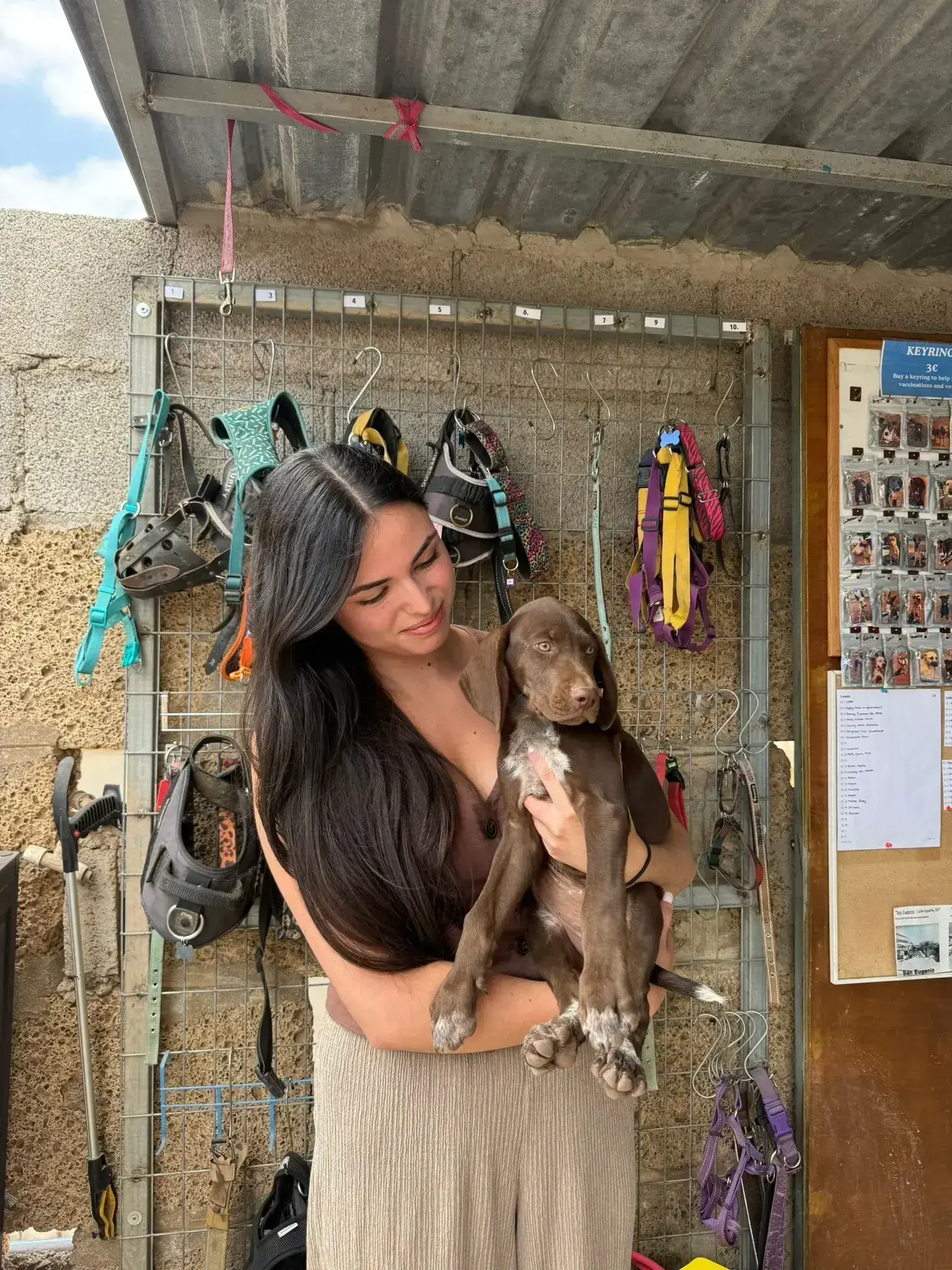 Mar adopted.