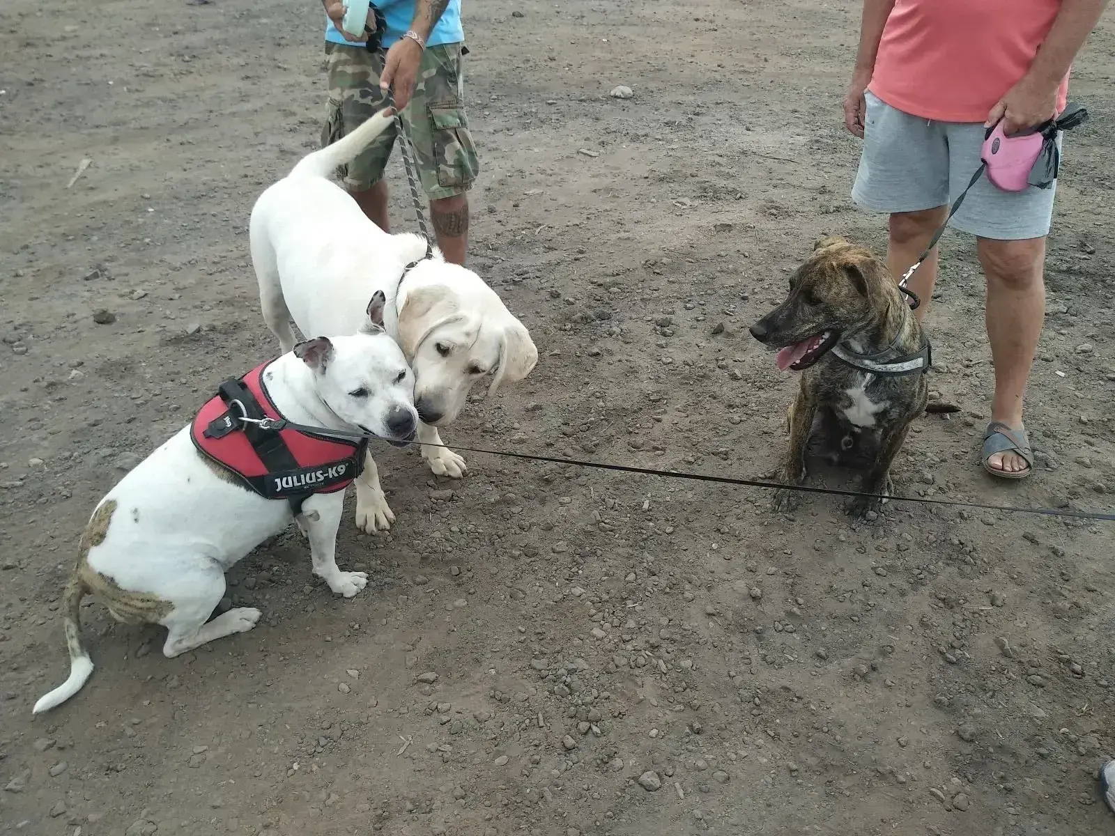 Max { Peanut} new encounter.
