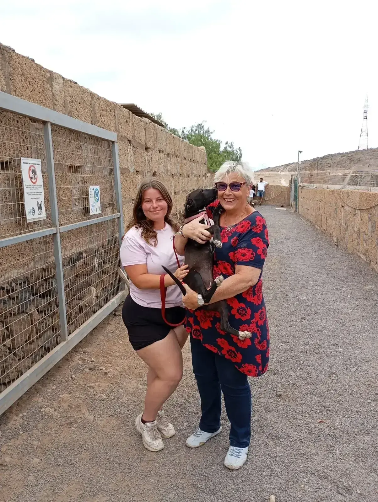 Luci off to live with Nala.