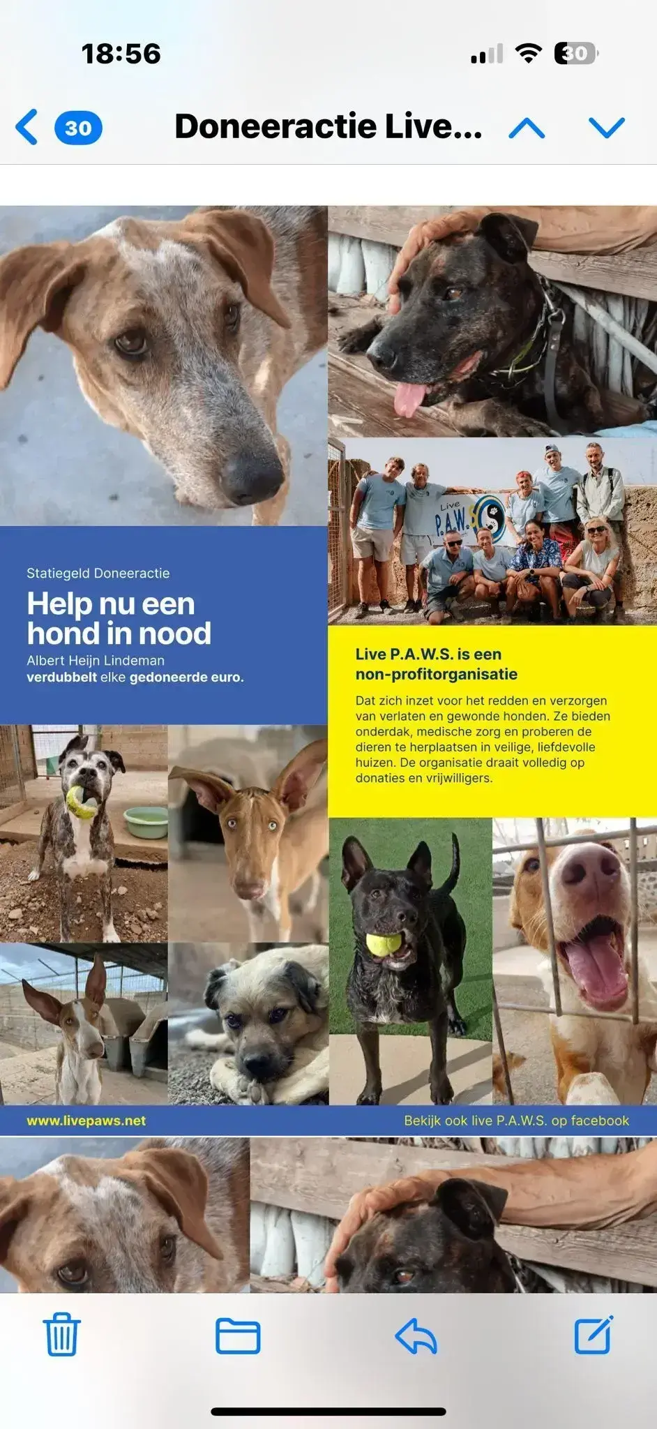 Supermarkets From Amsterdam . - Live Paws news, Tenerife dog rescue