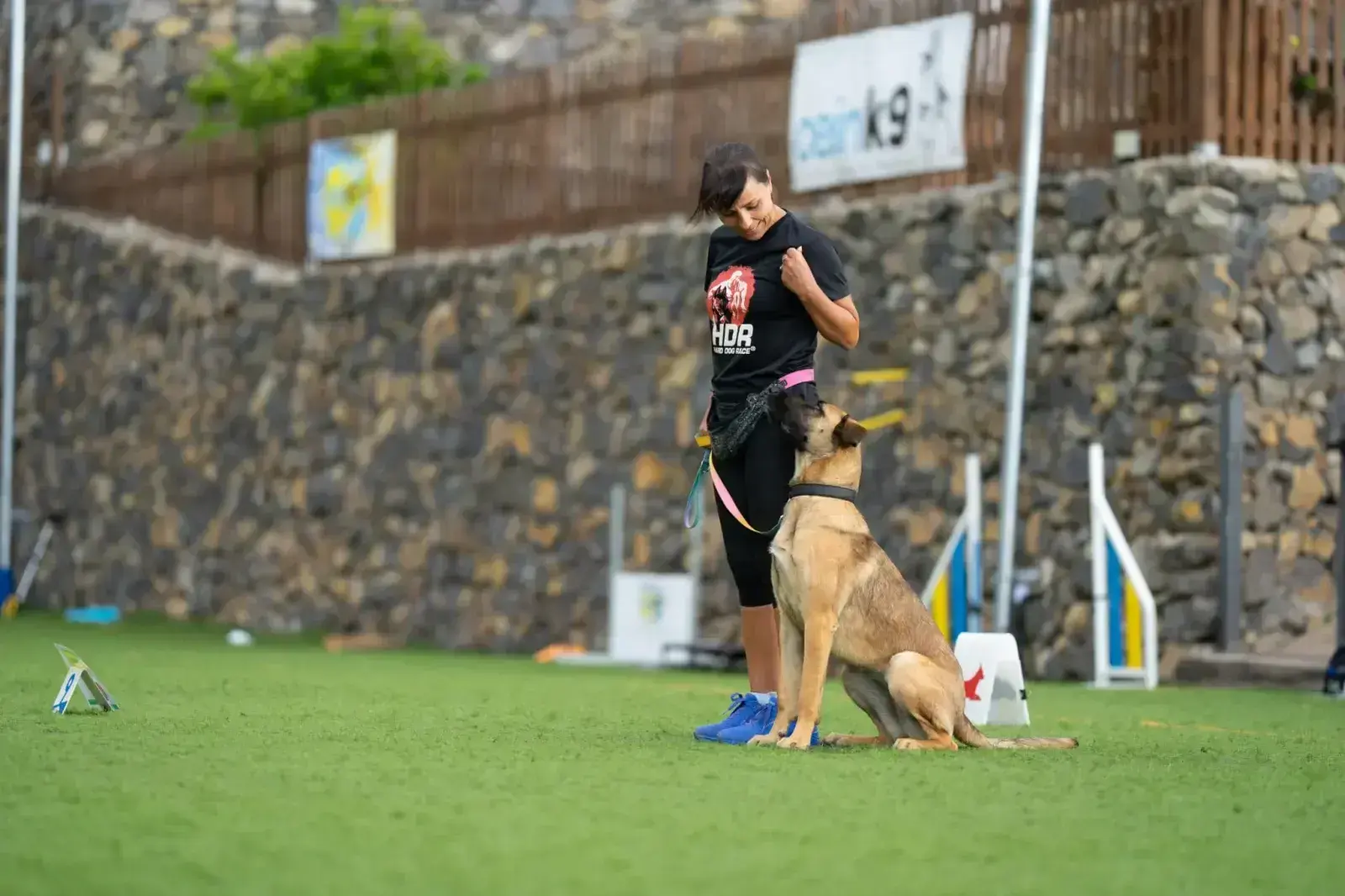 Skye learning her lessons.
