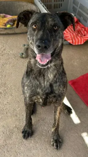 Sam