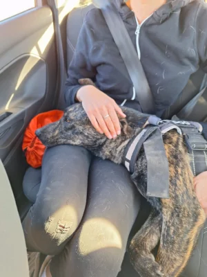 Sam
