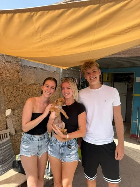 Nico adopted