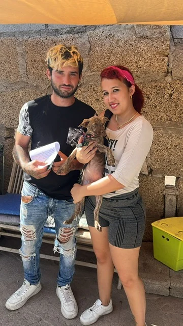 Dennis and Havana adopted.