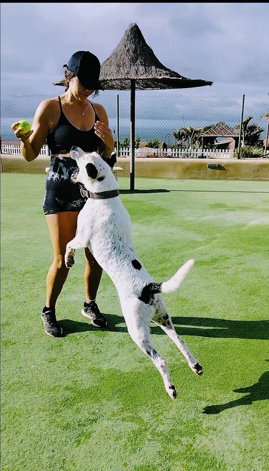 Patch always happy.