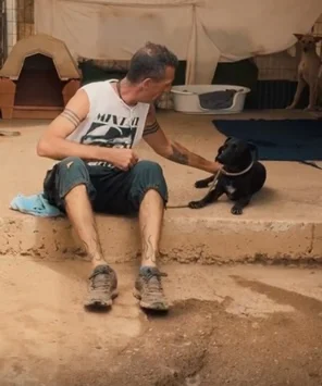 We never give up. - Live Paws news, Tenerife dog rescue
