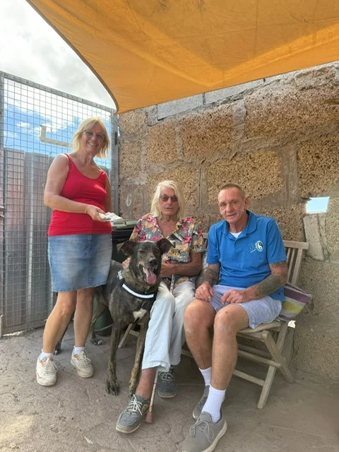From rescue to hero. - Live Paws news, Tenerife dog rescue