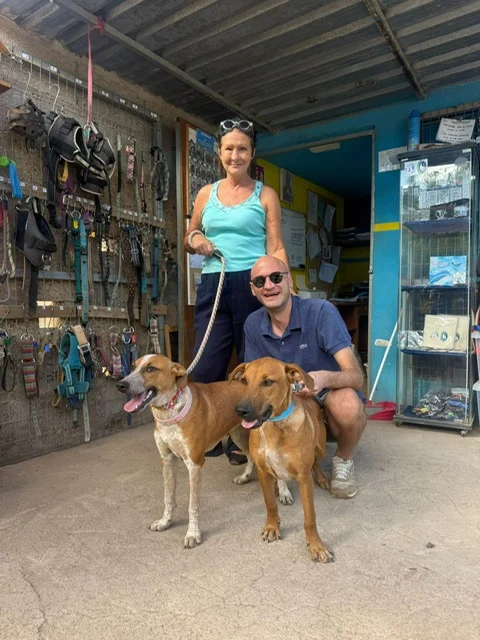 Dani and Zoe adopted together . - Live Paws news, Tenerife dog rescue