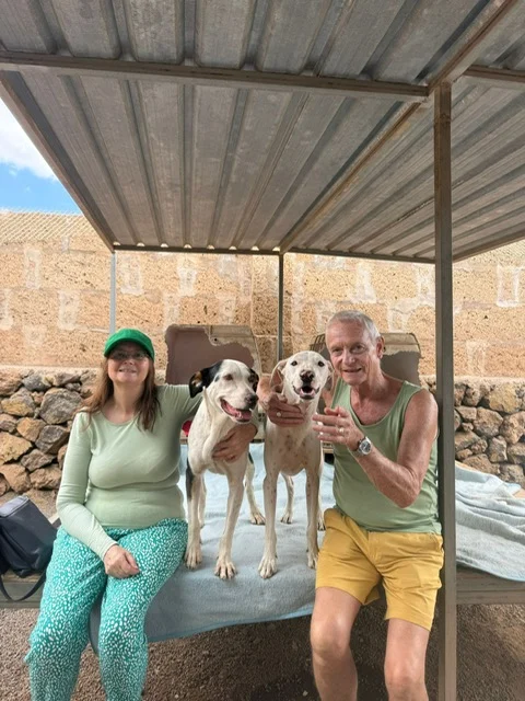 Lorenzo and Pancho a life together. - Live Paws news, Tenerife dog rescue