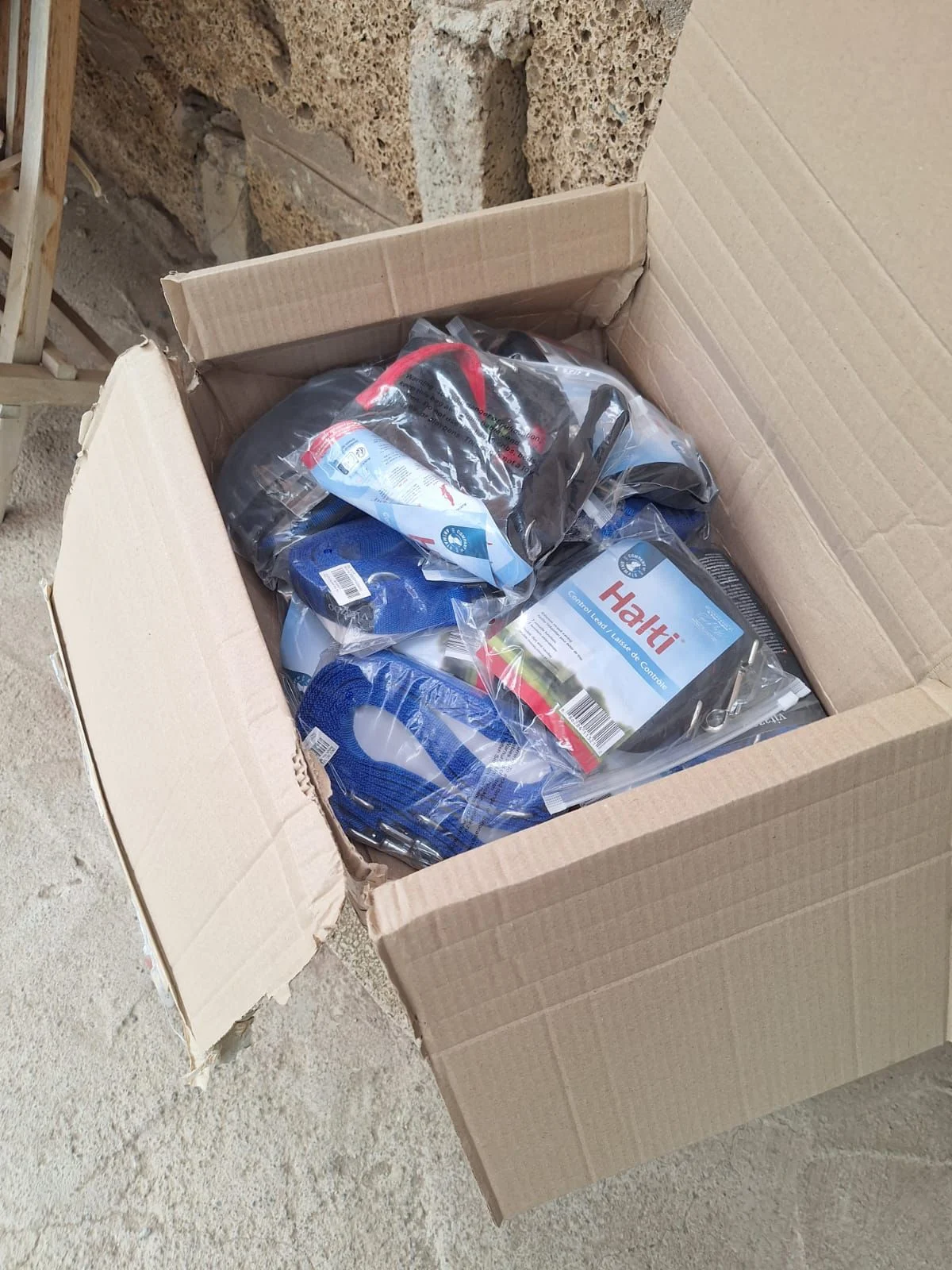 Thank you all. - Live Paws news, Tenerife dog rescue