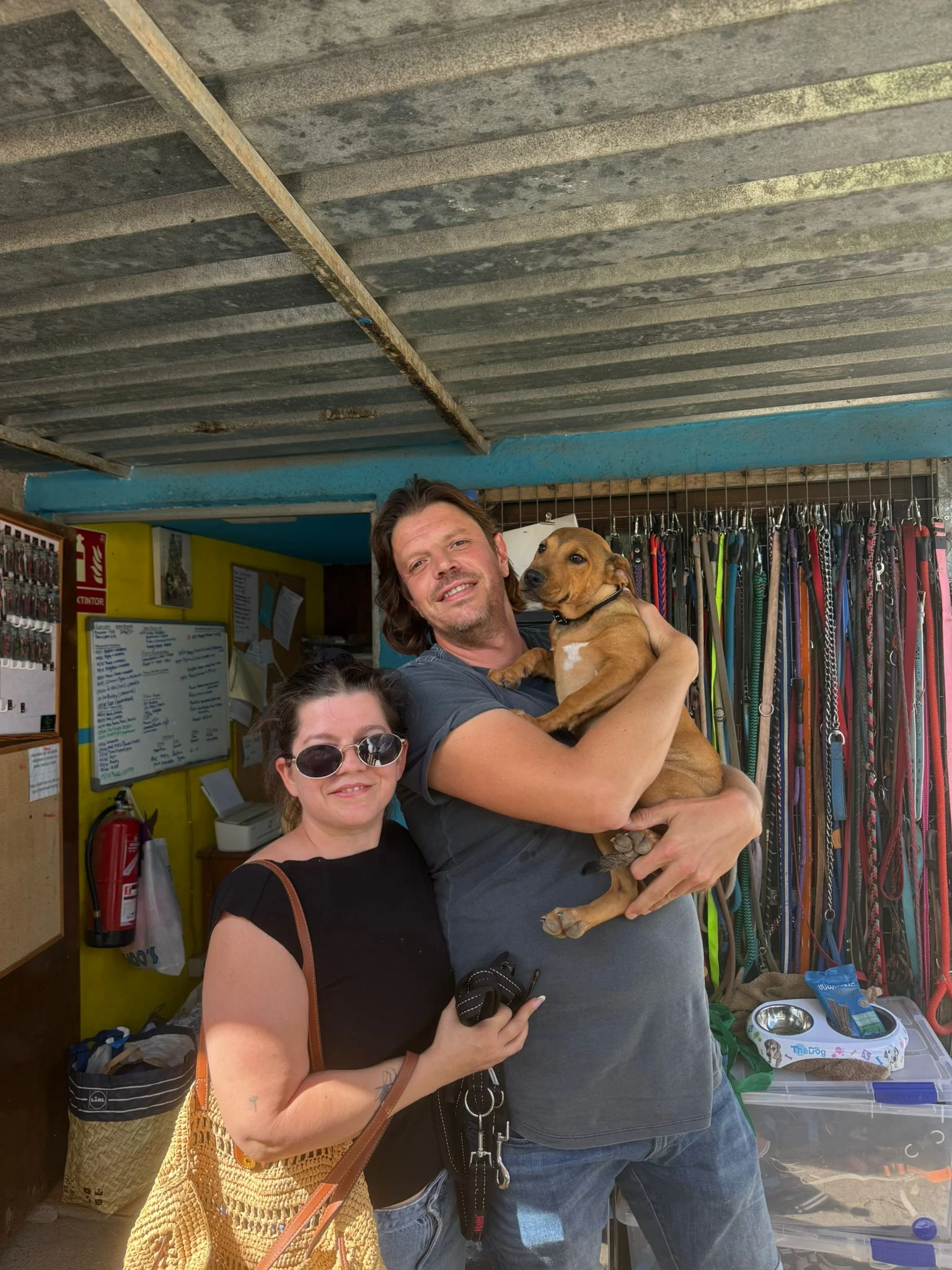 Nemo adopted. - Live Paws news, Tenerife dog rescue