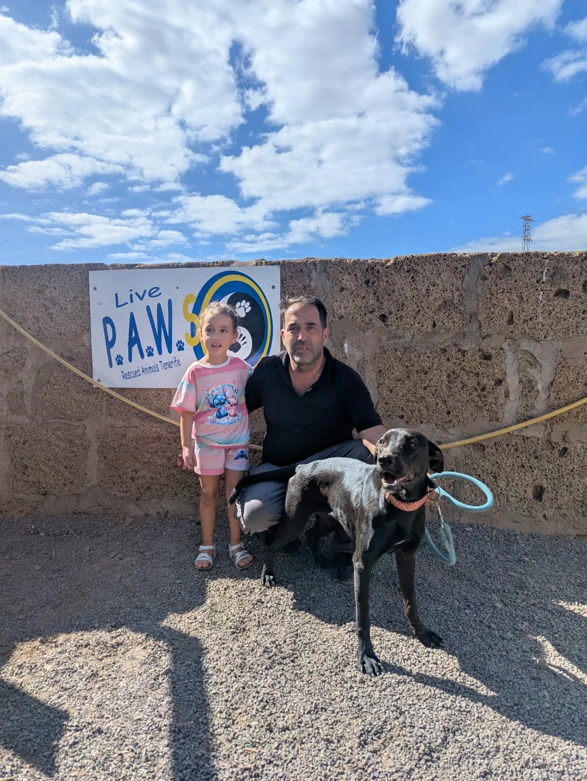 Dulce adopted - Live Paws news, Tenerife dog rescue