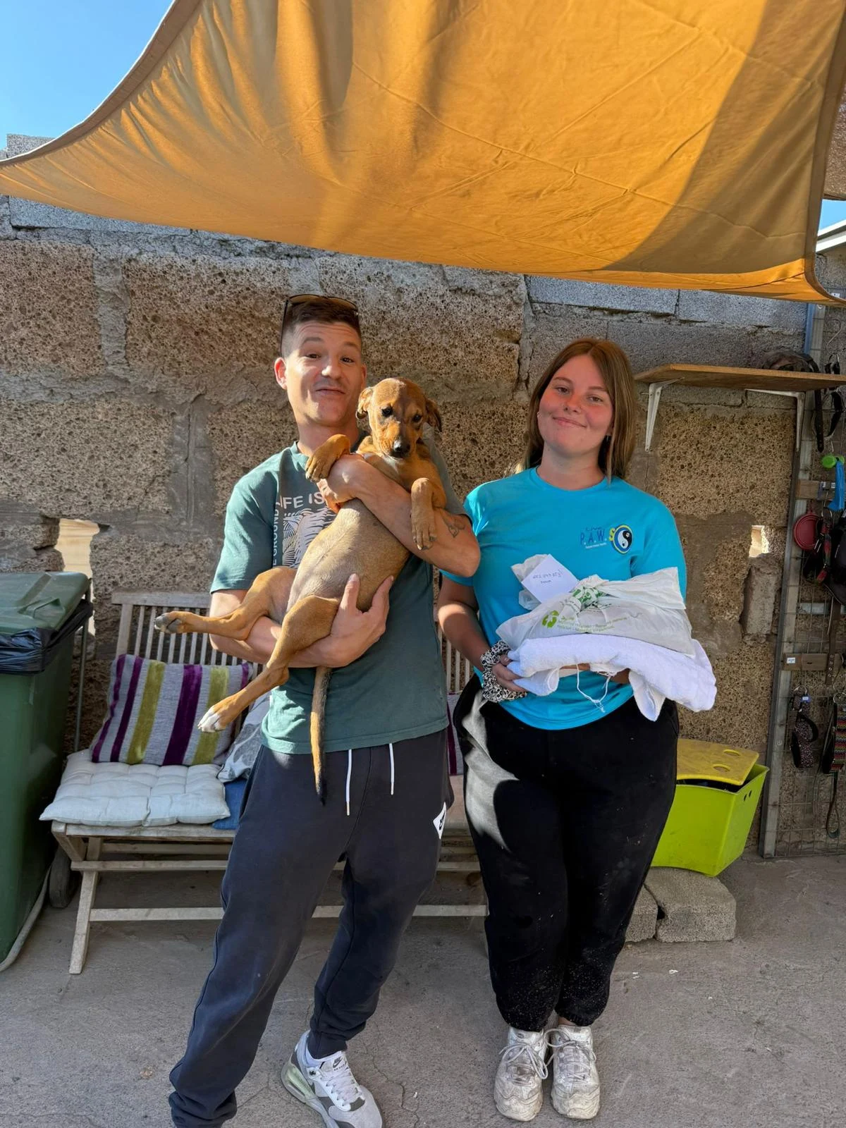 Dory adopted. - Live Paws news, Tenerife dog rescue
