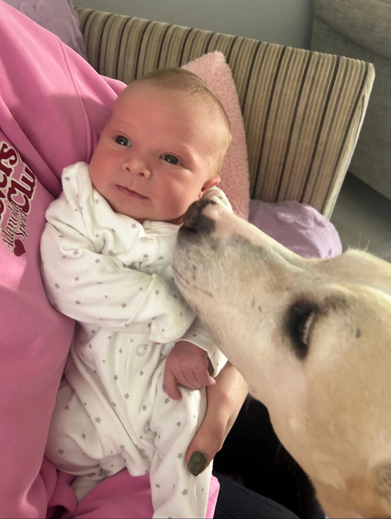 Candy has a new friend. - Live Paws news, Tenerife dog rescue