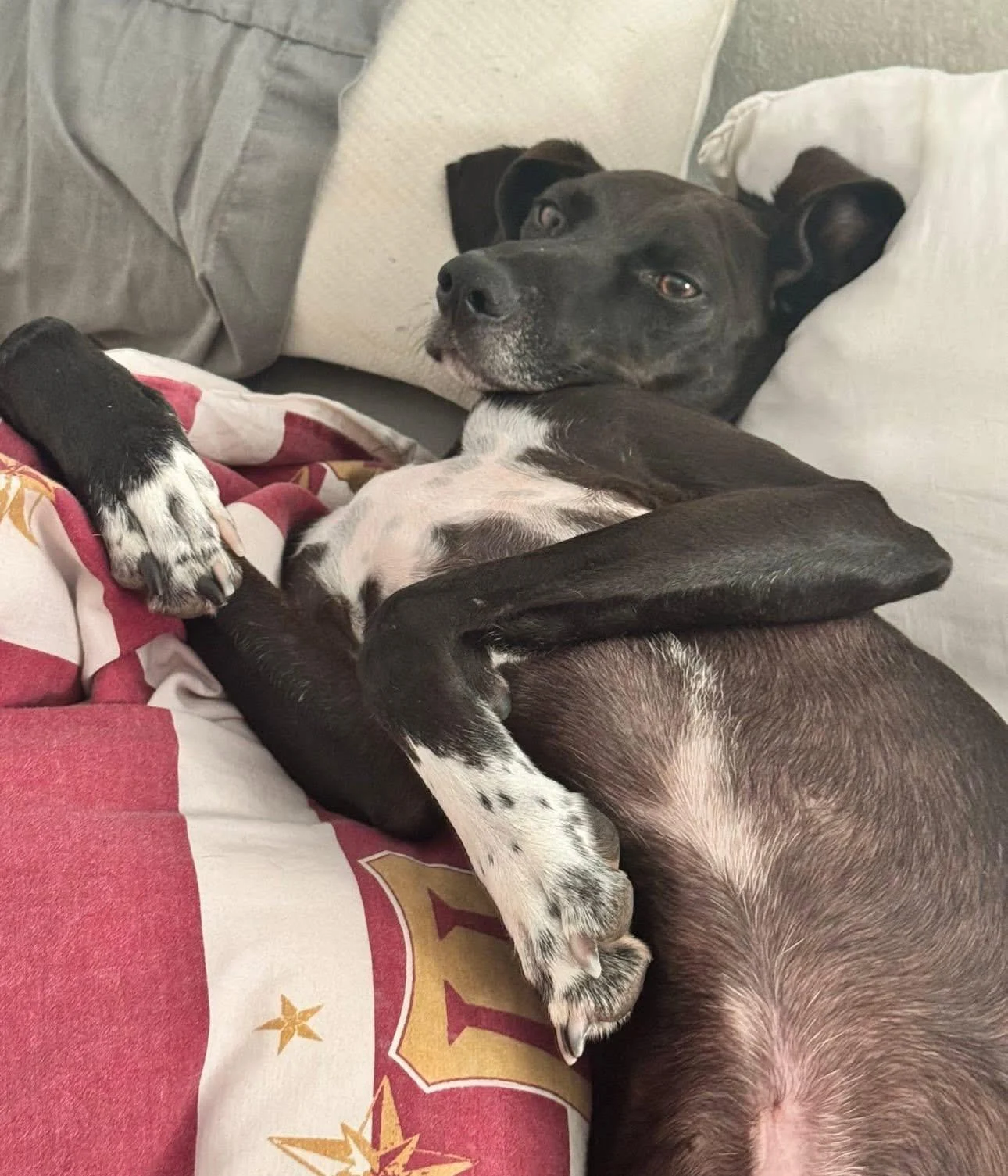 William enjoying life.