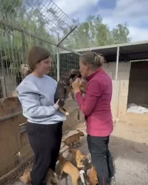 Kisses are worth it! - Live Paws news, Tenerife dog rescue