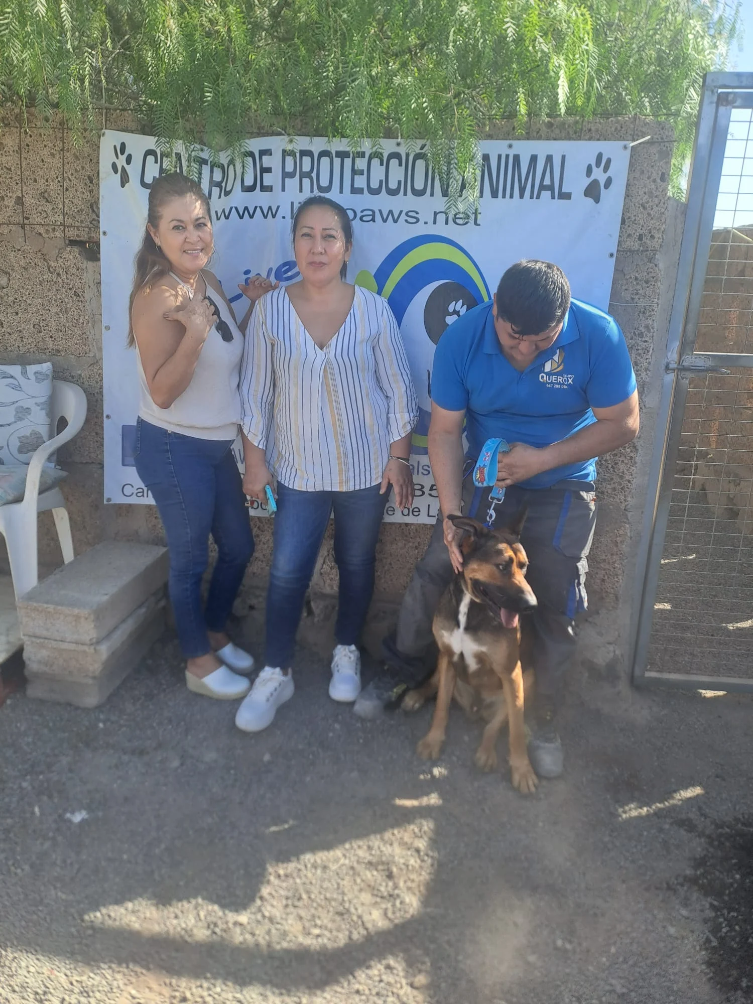 Cooper off to a new life. - Live Paws news, Tenerife dog rescue