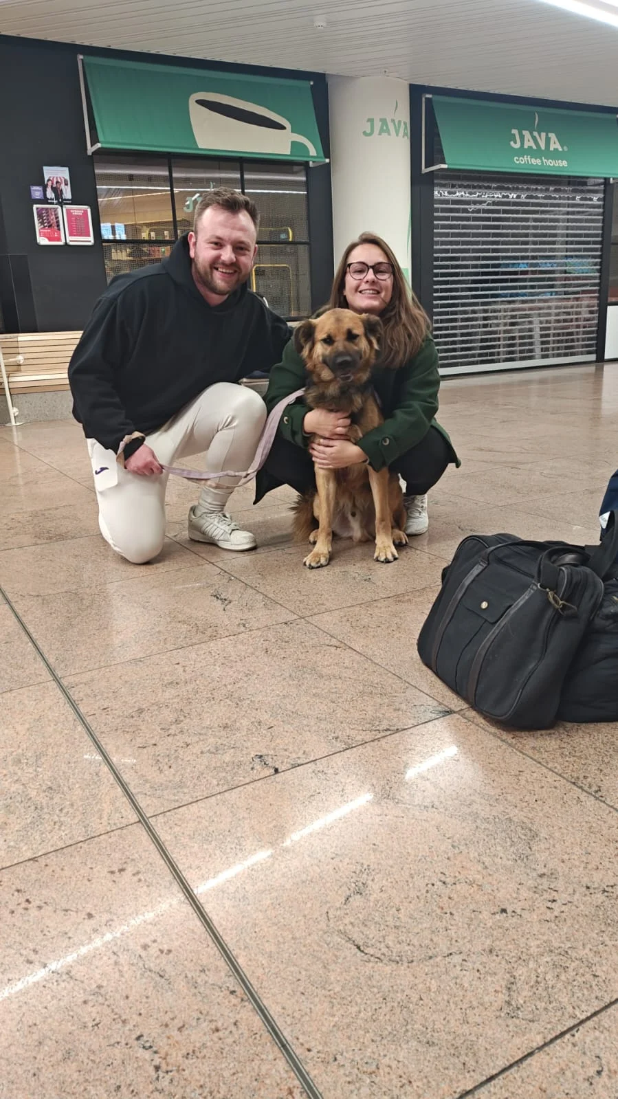 Tiny arrives in Belgium.