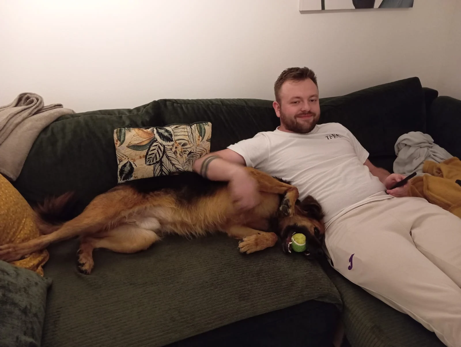 Tiny arrives in Belgium. - Live Paws news, Tenerife dog rescue