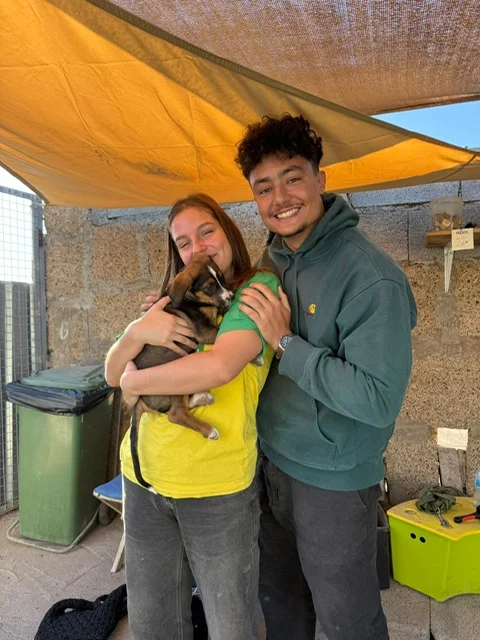 Another of Kira’s pups adopted. - Live Paws news, Tenerife dog rescue