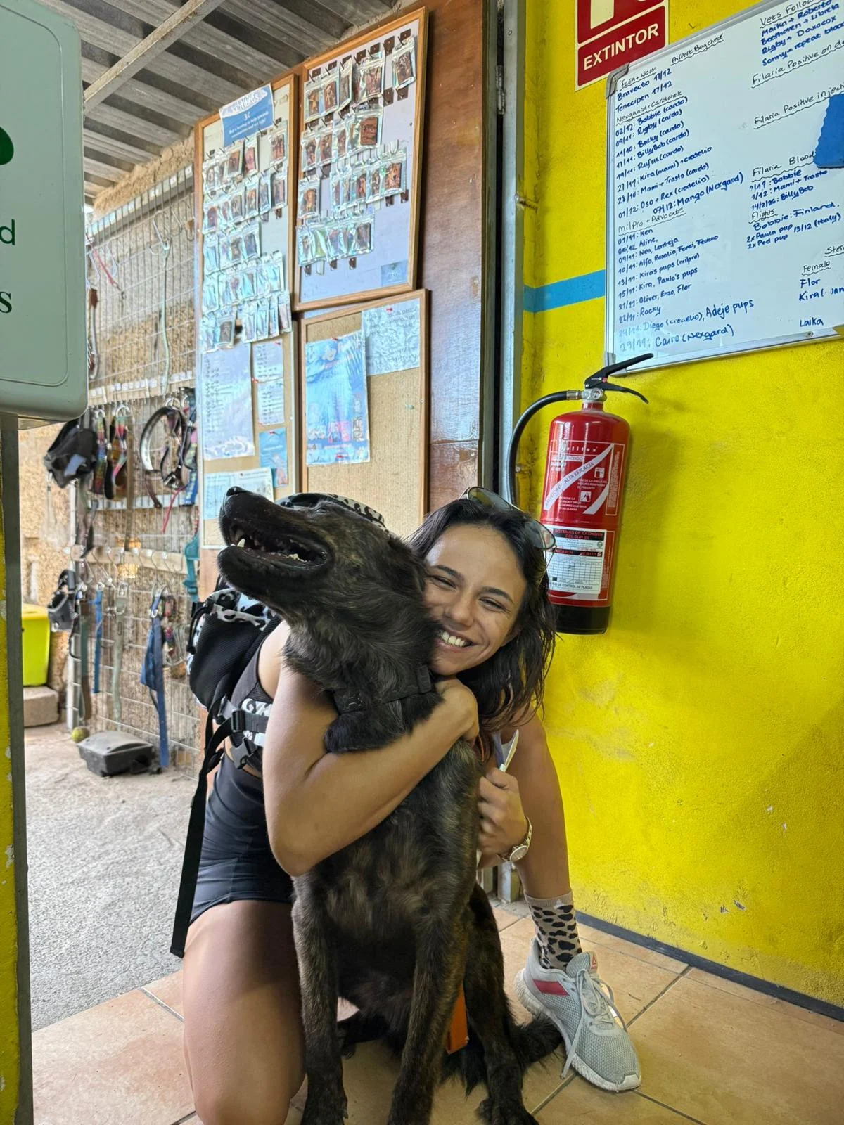 Rafa’s story {originally Alpha} - Live Paws news, Tenerife dog rescue