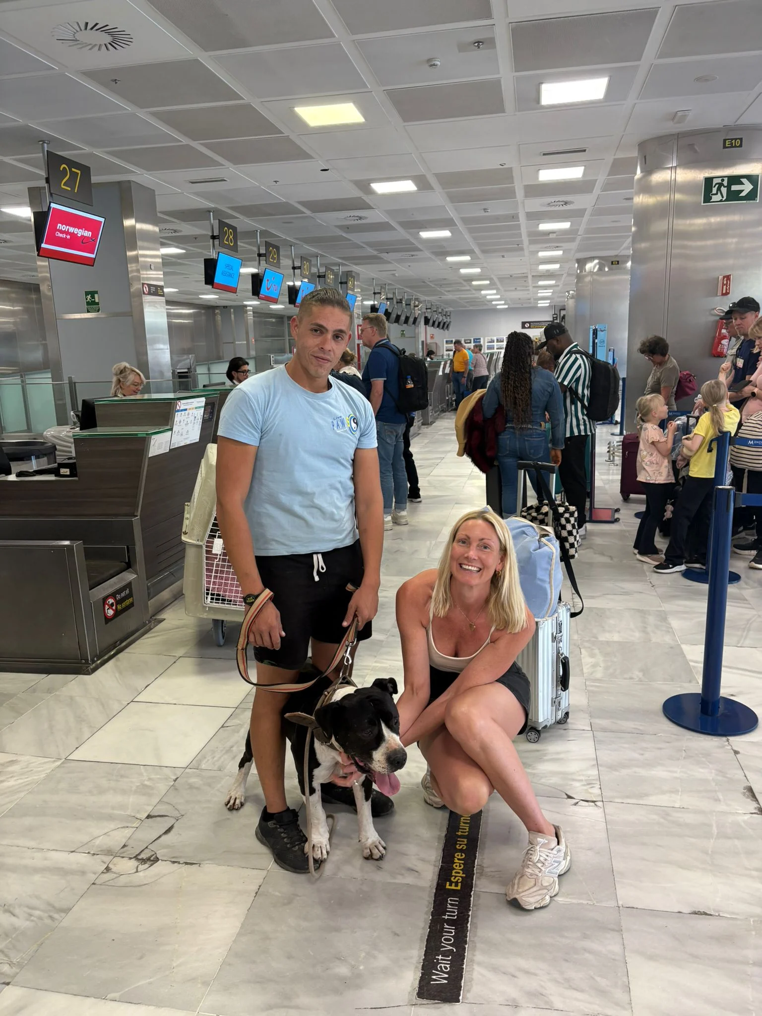 Bobby arrives in Finland . - Live Paws news, Tenerife dog rescue