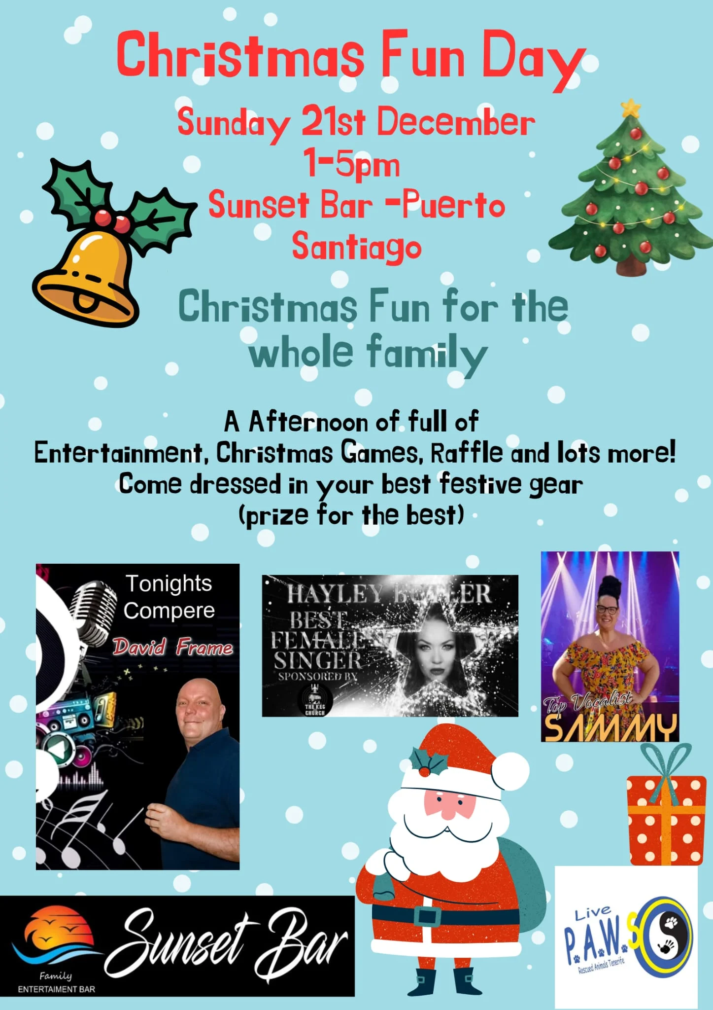An afternoon full of fun. 21st December - Live Paws news, Tenerife dog rescue