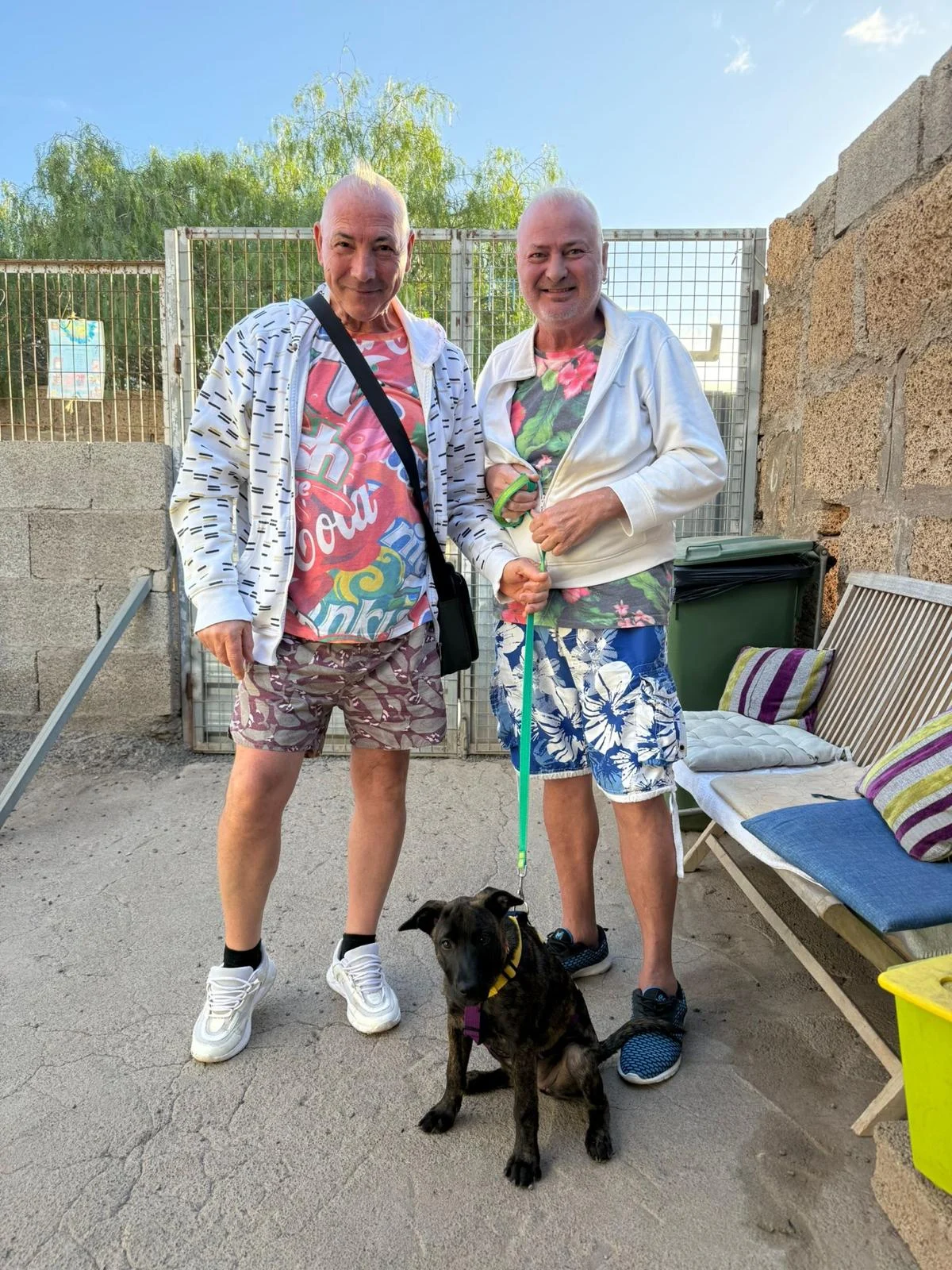 Kiara adopted . - Live Paws news, Tenerife dog rescue
