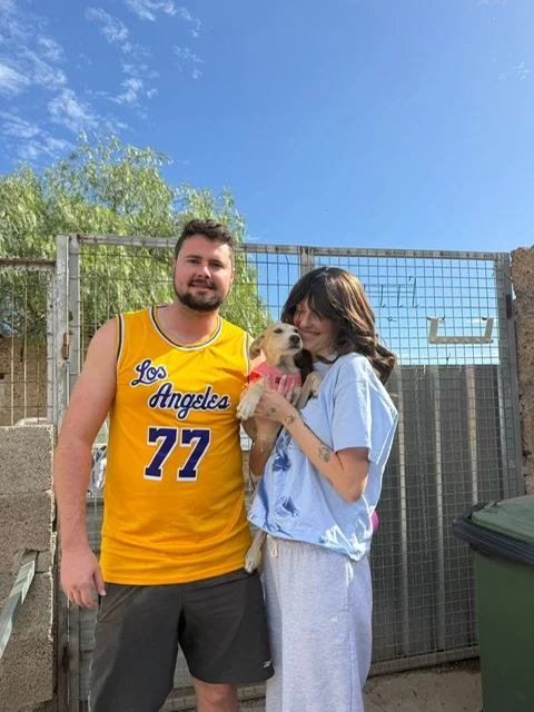 Crispy adopted. - Live Paws news, Tenerife dog rescue