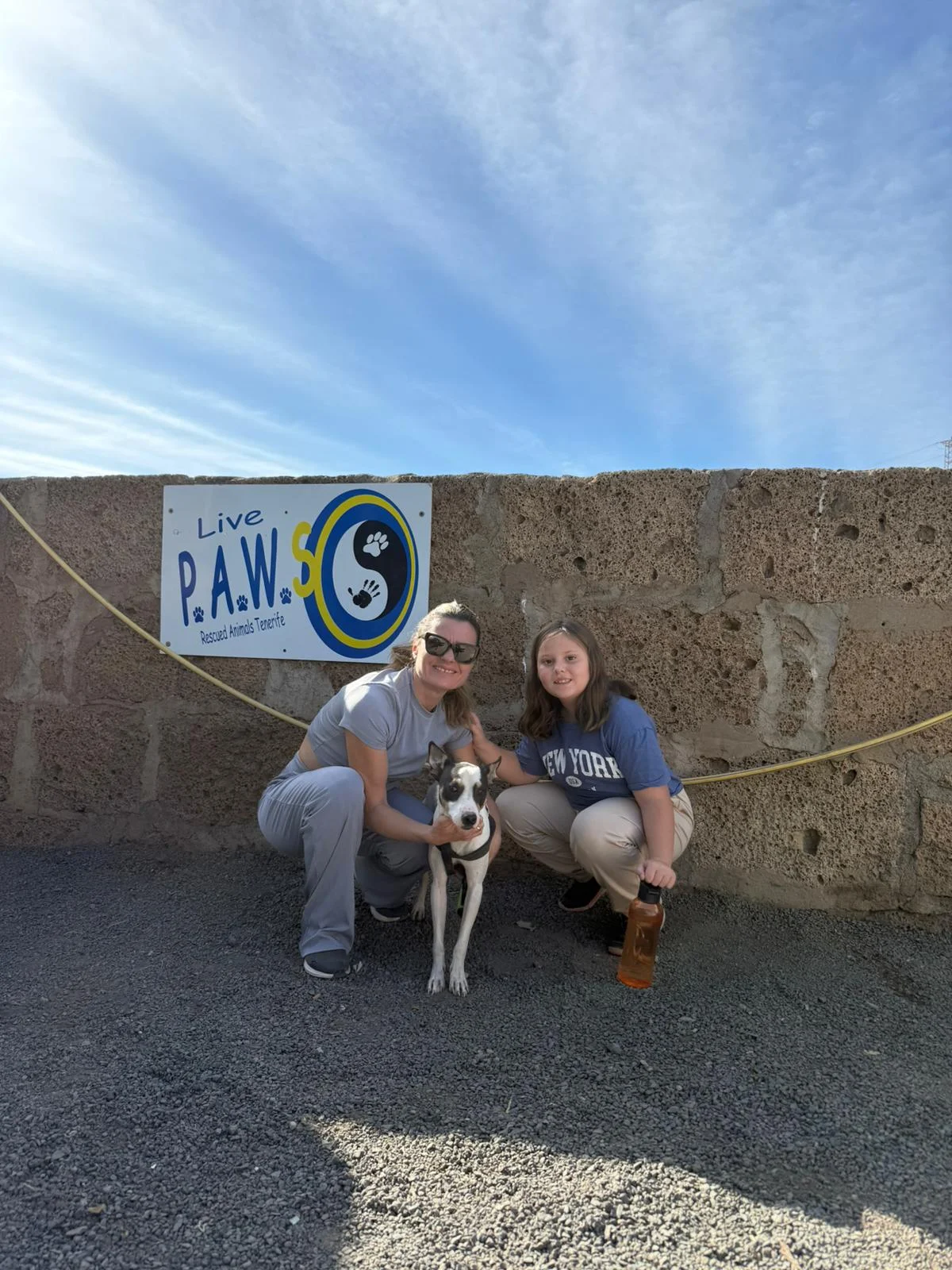 Mango adopted. - Live Paws news, Tenerife dog rescue