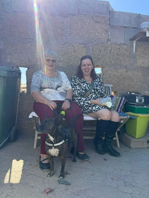 Cairo adopted. - Live Paws news, Tenerife dog rescue
