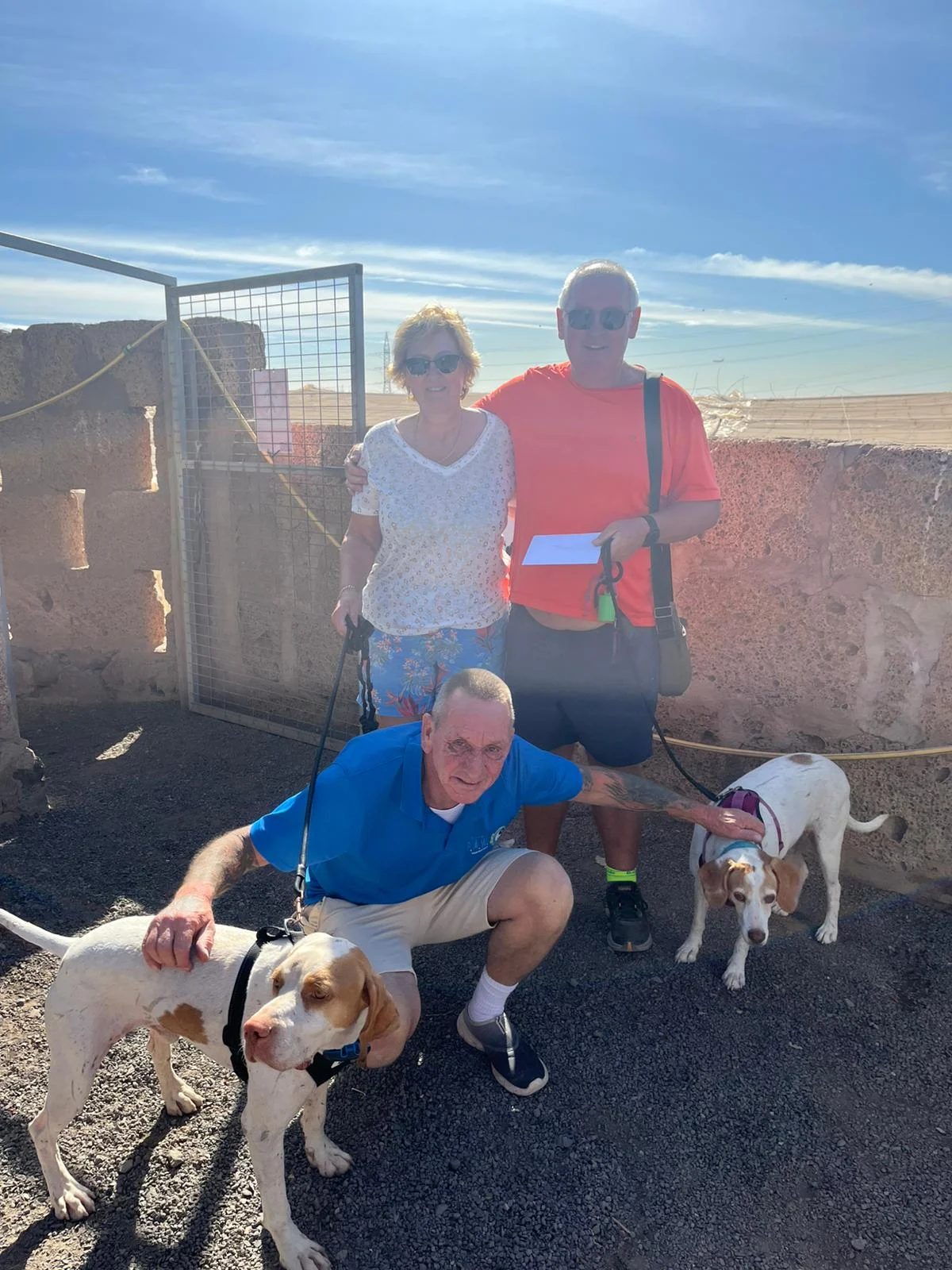 Chio came to visit - Live Paws news, Tenerife dog rescue