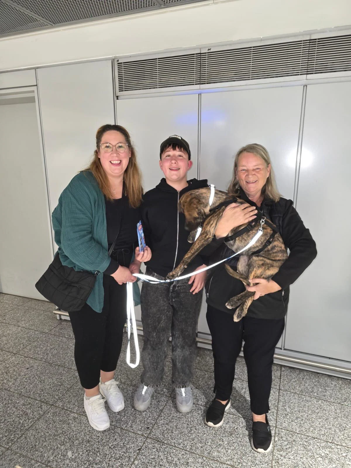 Our first adoption from the Esperanza dogs. - Live Paws news, Tenerife dog rescue