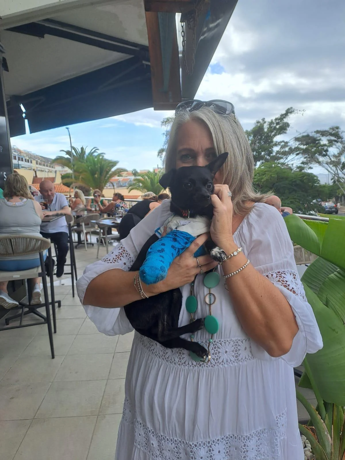 Deep Sadness. - Live Paws news, Tenerife dog rescue