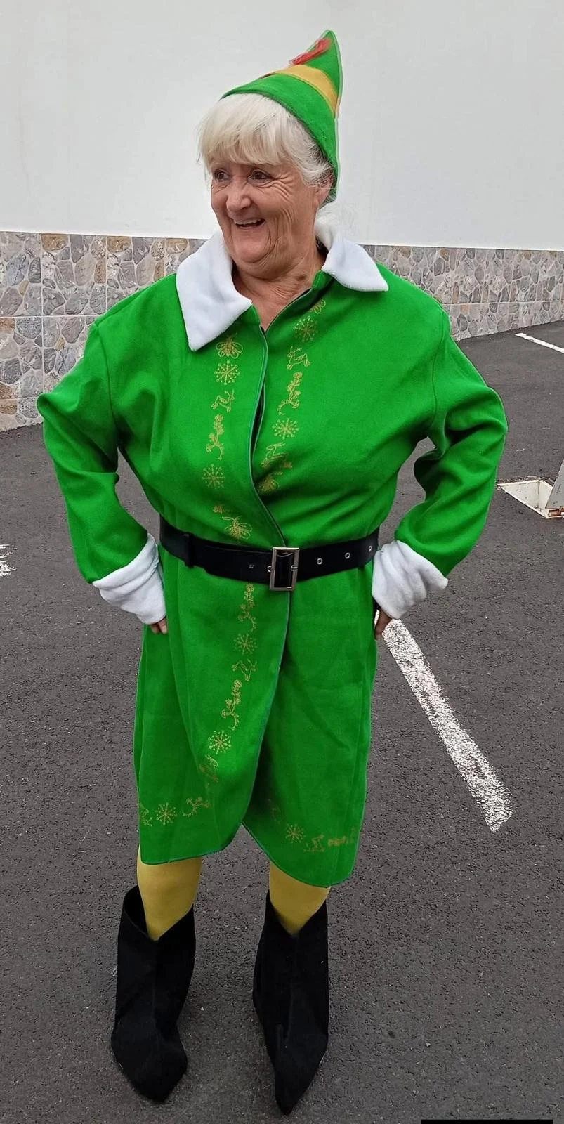 Festive Spirit. - Live Paws news, Tenerife dog rescue