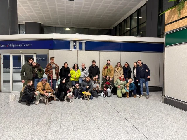 8 off to Italy - Live Paws news, Tenerife dog rescue