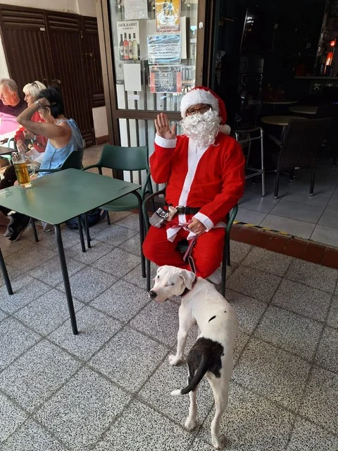 Thank you Sunset Bar. - Live Paws news, Tenerife dog rescue