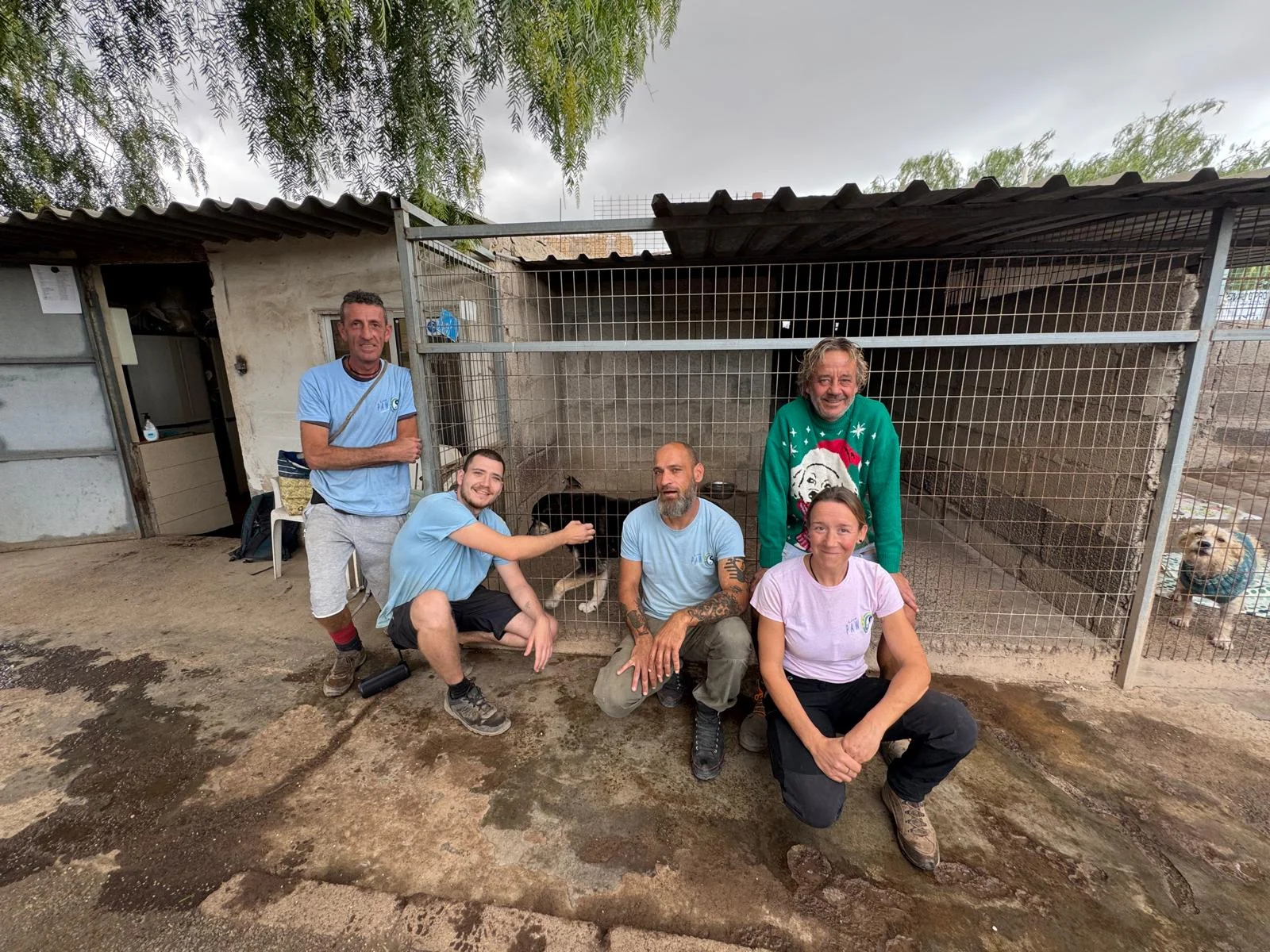 Great team. - Live Paws news, Tenerife dog rescue
